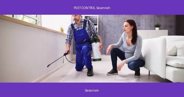 PEST CONTROL Savannah